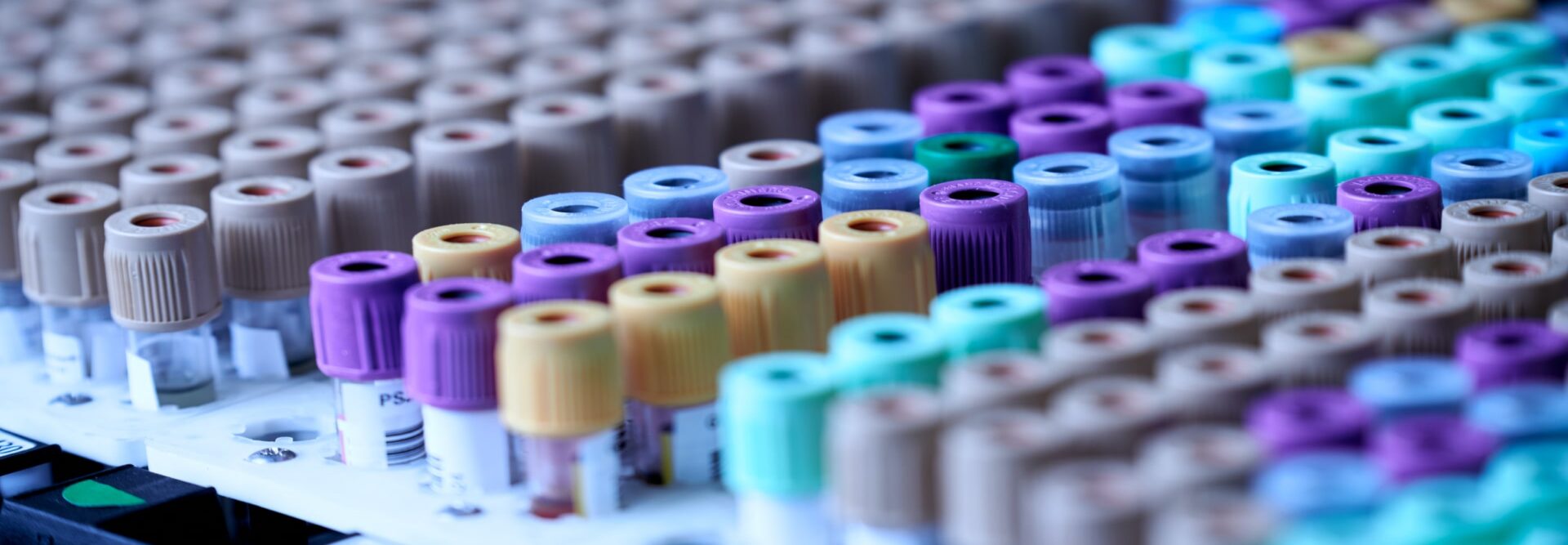 A row of different colored tubes on a table.